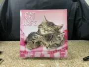 Cat Naps 2025 Monthly Wall Mount Calender 12”x12”