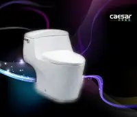 在飛比找Yahoo!奇摩拍賣優惠-【 達人水電廣場】 CAESAR 凱撒衛浴 C1353 -3