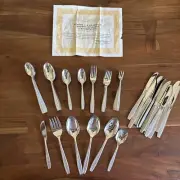 102 Set Oneida Simeon & George Rogers MAYBROOK Stainless Flatware Textured Rose