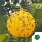 Sticky Glue Fly Gnat Wasp Hornet Mosquito Bugs Flying Insects Trap Ball Trap