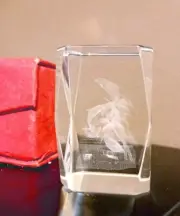 3d Laser Etched Crystal Glass Block Dolphins Palm