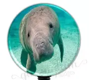 Manatee Retractable Badge Holder, Manatee Badge Clip, Save the Manatee GG1930