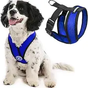 [GOOBY] Comfort X Head-in Harness, Choke Free Small Dog Harness with Micro Suede Trimming and Patented X Frame, Blue, Medium