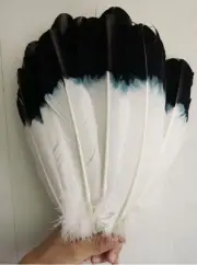 10-100pcs Black head white pheasant feather 11-13 inch/28-33cm carnival diy mask