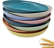 WANBY Wheat Plastic Reusable Dinner Plates Unbreakable Dinner Dishes Outdoor Plates Sets Dishwasher Microwave Safe (Extra Large 8 Pcs 10')