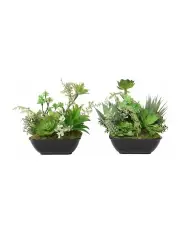 [Willow & Silk] 2 Piece Artificial Succulents Pot in Black