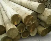 ACQ Treated Pine Logs Seconds DIY Backyard Swings Garden Fence Poles 125mm diam
