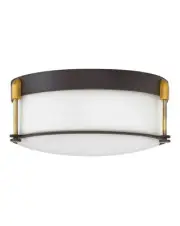 Hinkley Lighting 3233 Colbin 3 Light 16-1/2"W Flush Mount Ceiling - Bronze
