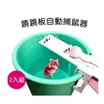 蹺蹺板自動捕鼠器-2入組