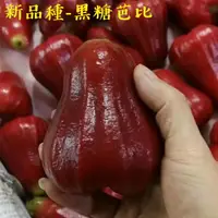 在飛比找樂天市場購物網優惠-【緁迪水果JDFruit】水果禮盒推薦-台灣小農【高雄六龜】