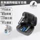 TSN1 真無線降噪藍牙耳機(藍牙5.0 台灣製造) (6.5折)