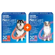 NexGard Spectra Chews For Large & Very Large Dogs Bundle Bundle