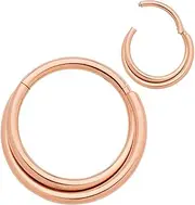 [365 Sleepers] Titanium Implant Grade 16G 8mm 10mm Double Twist Hinged Segment Ring Helix Tragus Septum Clicker Nose Lip Hoop Huggie Earring Body Piercing Jewellery