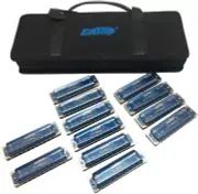 Harmonica Set 10hole Mouth Organ in One Case Blue Covers T008K-12 Set EASTTOP