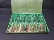 VINTAGE SOLINGEN GERMANY STAINLESS ETCHED KNIVES STAG HORN 12 PC FLATWARE SET