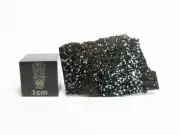 NWA 16397 Acap 1.09g Part Slice of a New Acapulcoite Meteorite