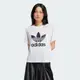 【ADIDAS】TRFL TEE BOXY 短袖上衣 女 白色-IN8441