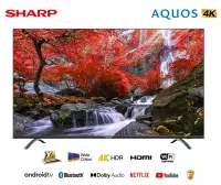 在飛比找Yahoo!奇摩拍賣優惠-【4T-C50CJ1T】SHARP 夏普 50吋 4K An