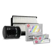 NGK Platinum Spark Plugs & Air Oil Filter for Ford Fairlane Falcon BF Territory