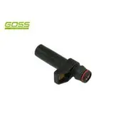 RAE Crankshaft Position Sensor - SC374