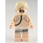 樂高人偶王 LEGO  星戰系列#7879 SW0342 LUKE SKYWALKER