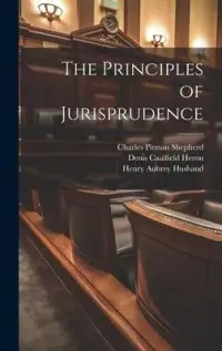 在飛比找博客來優惠-The Principles of Jurisprudenc