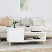 White Coffee Table, 100x50x45 cm, Engineered Wood with Eucalyptus Wood Accents, Ample Storage with Compartment and Shelf