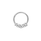 1/6Pcs Stainless Steel Septum Nose Rings Hoops, CZ Hinged Clicker Nose Ring Lip