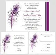 100 Personalized Custom Purple Peacock Feathers Bridal Wedding Invitations Set
