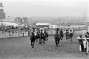 Last Suspect 1985 Grand National Win 3 Horse Racing Old Photo
