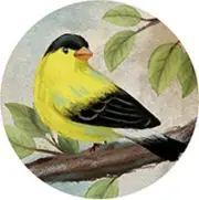 Single Round Absorbent Stone Car Coaster-GOLDFINCH-by Carson Home Accents