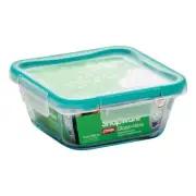 World Kitchen Rning Revere Snapware Square with Lid Clear-4 Cup- pack of 4