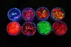 PaintGlow UV Blacklight Reactive Holographic Chunky Glitter Shaker