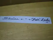 Ladies Schwinn Fair Lady Bicycle Water Transfer Black Chainguard Decal