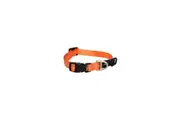 Rogz Orange Small 11mm Wide x 20cm to 31cm Classic Utility Collar for Dogs & Puppies