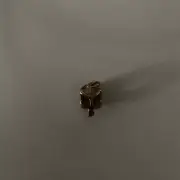 Pandora Leaf Charm - Rose