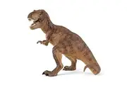 Papo The Dinosaur Figure, Tyrannosaurus