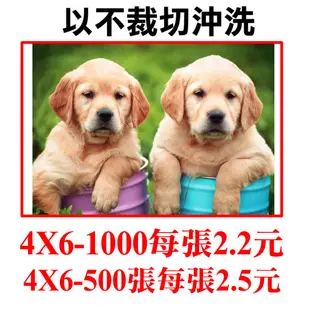 高級相紙4X6每張3元滿1000張每張2.2元 拍立得印相片洗相片相片沖洗洗照片2X3相片數位沖洗全家福沖片婚紗照