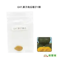 在飛比找蝦皮購物優惠-G47.栗子南瓜種子1顆(栗の藏)(日本進口.F1.果皮濃綠