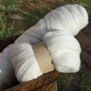 Extra Fine Australian Merino Wool Tops roving natural white 100g 19 microns