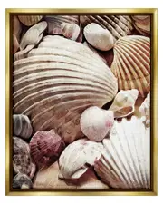 Various Nautical Clam Conch Shells Framed Floater Canvas Wall Art by Ashley Aldridge