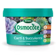 Scotts Osmocote 500gm Cacti & Succulent Controlled Release Fertiliser cactus
