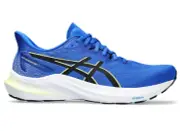 Asics Gel GT 2000 12 Mens Running Shoes (D Standard) (400)