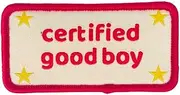 Certified Good Boy Girl Dog Harness Patches | Hoop & Loop Funny Cute Dogs Patch for Removable Vest Collar Tactical Working Moral Training Tracking Service Dog Doggie Pet Embroidery Accessories (Boy)