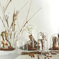 在飛比找蝦皮購物優惠-永生花玻璃罩 創意微景觀玻璃罩花瓶☆ VITO zakka 