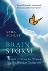 BrainStorm From Broken to Blessed on th Sara Schley Hardcover