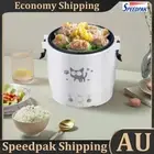 1L Portable Rice Cooker Travel Multi-cooker Food Steamer for 1-2 People (220V) A