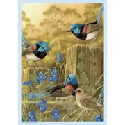 Brolly Books - Red-Winged Fairy Wrens Puzzle 1000pc