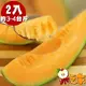 【果之家】台南七股超甜爆汁網紋紅肉哈密瓜2顆(單顆約1KG) (5.3折)