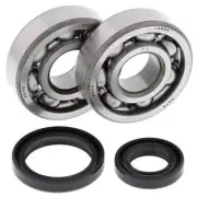 Fits 1989 Suzuki RM80 Crank Bearing & Seal Kit All Balls 24-1014